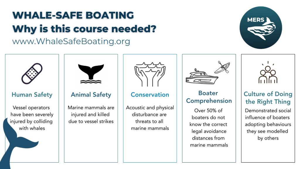 Why WhaleSafeBoating