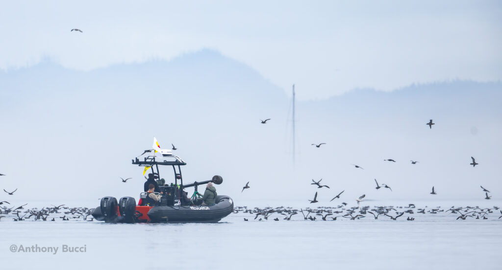 2025 09 10 AnthonyBucci BUC 9841